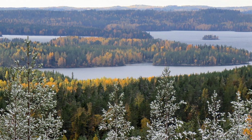 Keski-Suomen kansallispuistoissa vilkas alkuvuosi – Meijän polku